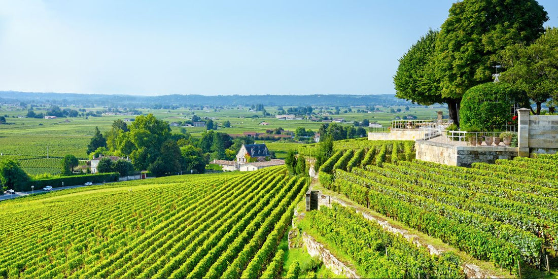 2022 Bordeaux is in clearly one of the greatest vintages of all time - By Philip Stephenson-Oliver
