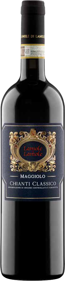 Maggiolo Chianti Classico D.O.C.G. Bio 75cl (2020) LAMOLE DI LAMOLE