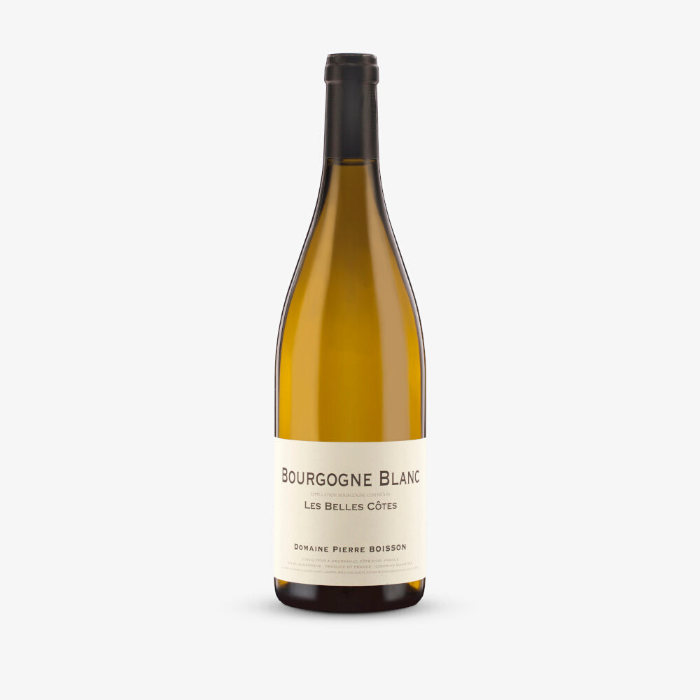2021 Bourgogne Blanc, 'Les Belles Côtes', Domaine Boisson, Burgundy, France