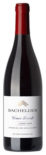 2022 Bachelder, `Wismer-Foxcroft` Gamay - Liberty