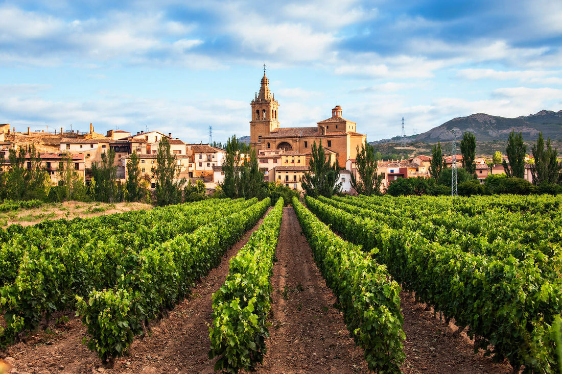 Spain 2022 Vintage by Philip Stephenson-Oliver