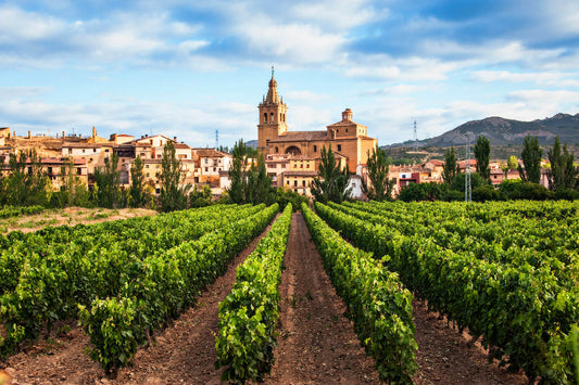 Spain 2022 Vintage by Philip Stephenson-Oliver