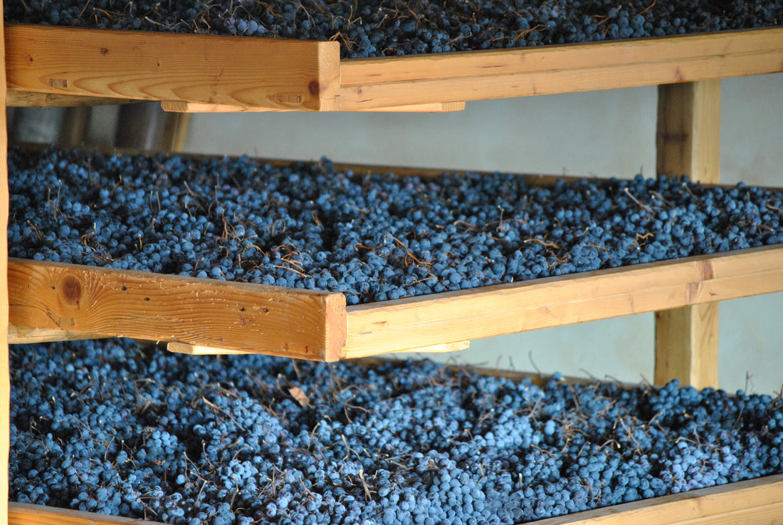 Italy's Most Powerful Red Wine - Amarone By Philip Stephenson-Oliver