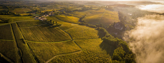 What is Bordeaux Superieur ? - Philip Stephenson-Oliver