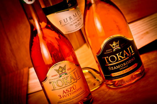 Understanding Tokaj - By Philip Stephenson-Oliver