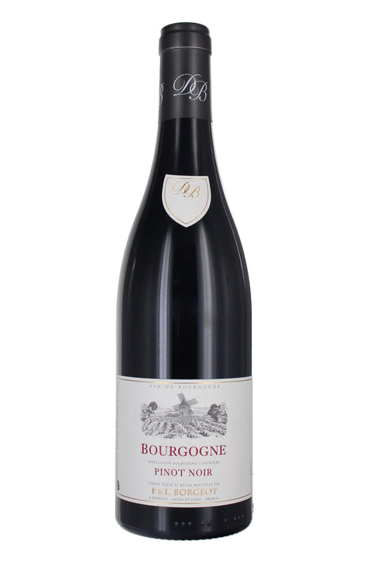 2022 Bourgogne Pinot Noir, Domaine Pascal et Laurent Borgeot, Burgundy, France