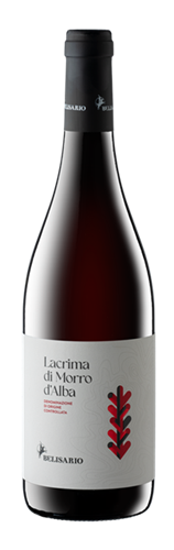 2024 Cantine Belisario, Lacrima di Morro d'Alba - Liberty
