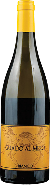 Criseo Bolgheri D.O.C. 75cl (2021) PODERE GUADO AL MELO