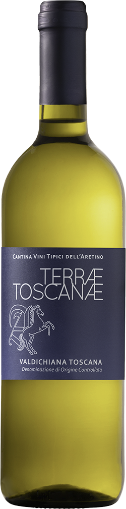 ‘Terrae Toscanea’ Valdichiana Toscana D.O.C. 75cl (2022) VINI TIPICI DELL’ARETINO