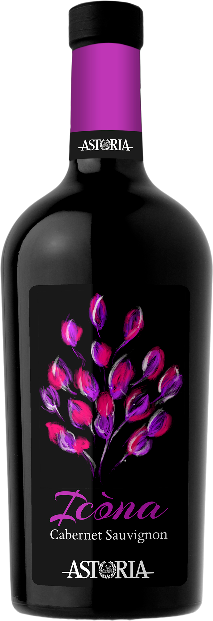 Icòna Cabernet Sauvignon Venezia D.O.C. 75cl (2023) ASTORIA VINI