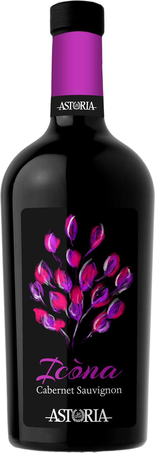 Icòna Cabernet Sauvignon Venezia D.O.C. 75cl (2023) ASTORIA VINI