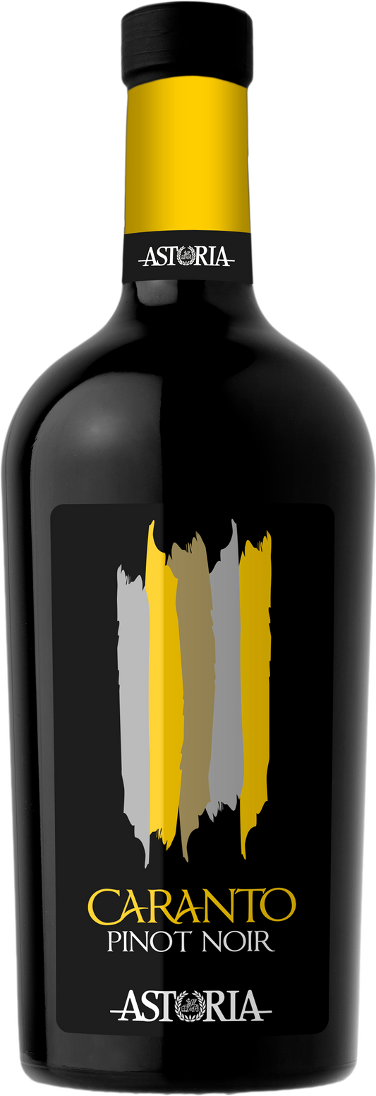 Caranto Pinot Nero Trevenezie I.G.T. 75cl (2023) ASTORIA VINI