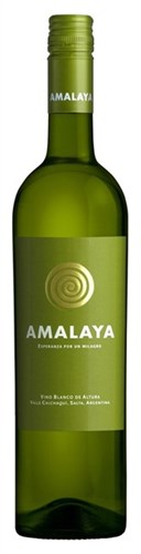 2024 Amalaya, Calchaquí Valley Torrontés/Riesling - Liberty