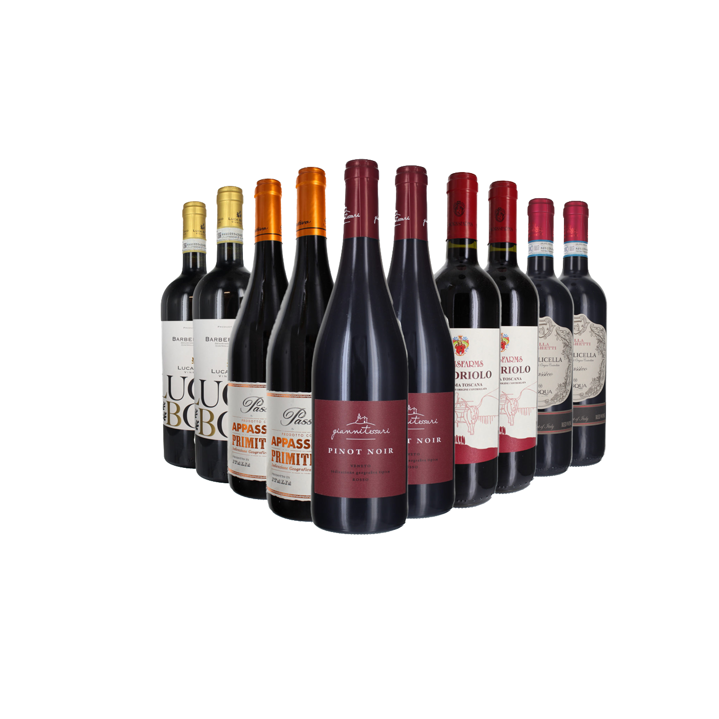 True Wine Adventurer Subscription.